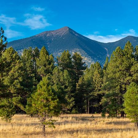 Вілла Mt. Elden Adventure Флегстафф Екстер'єр фото