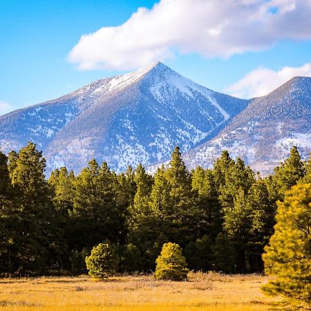 Вілла Mt. Elden Adventure Флегстафф Екстер'єр фото