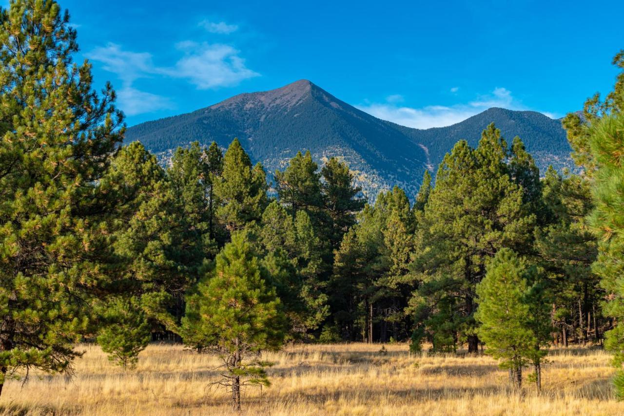 Вілла Mt. Elden Adventure Флегстафф Екстер'єр фото