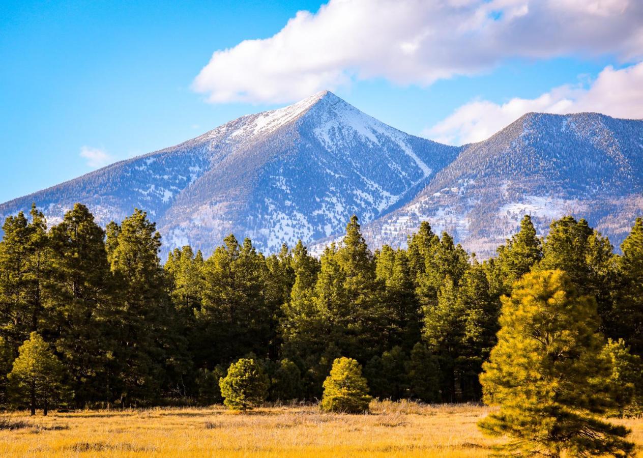 Вілла Mt. Elden Adventure Флегстафф Екстер'єр фото