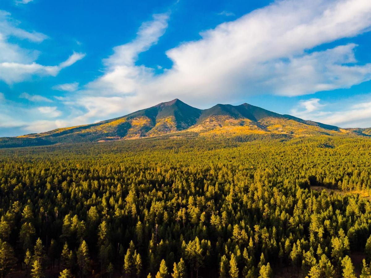 Вілла Mt. Elden Adventure Флегстафф Екстер'єр фото